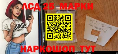 гидропоника Заволжье