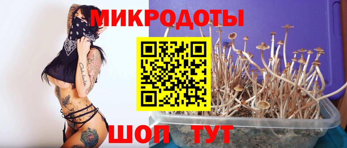 Кумертау  Псилоцибиновые грибы ЛСД  Вход с VPN  Псилоцибиновые грибы прущие грибы 